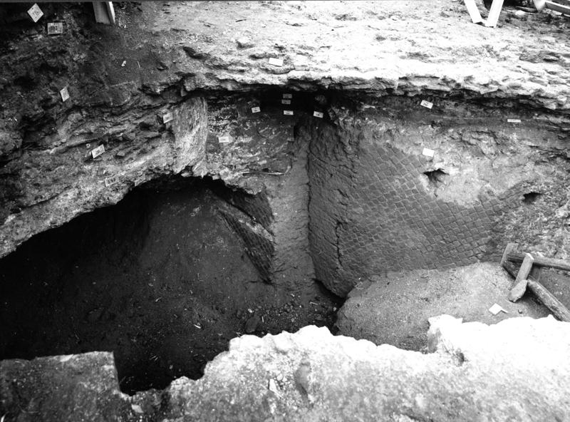 VB-SP002-asf009939.jpg