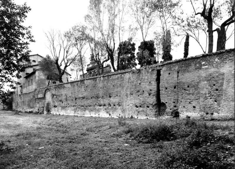 VB-SV001-asf009948.jpg
