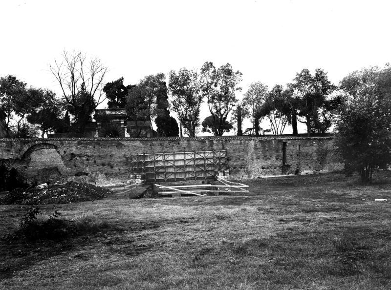 VB-SV012-asf009959.jpg
