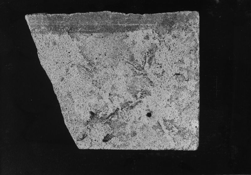 020775 - reperto - Frammento fittile; Neg. Serie film, Nr. 1854
