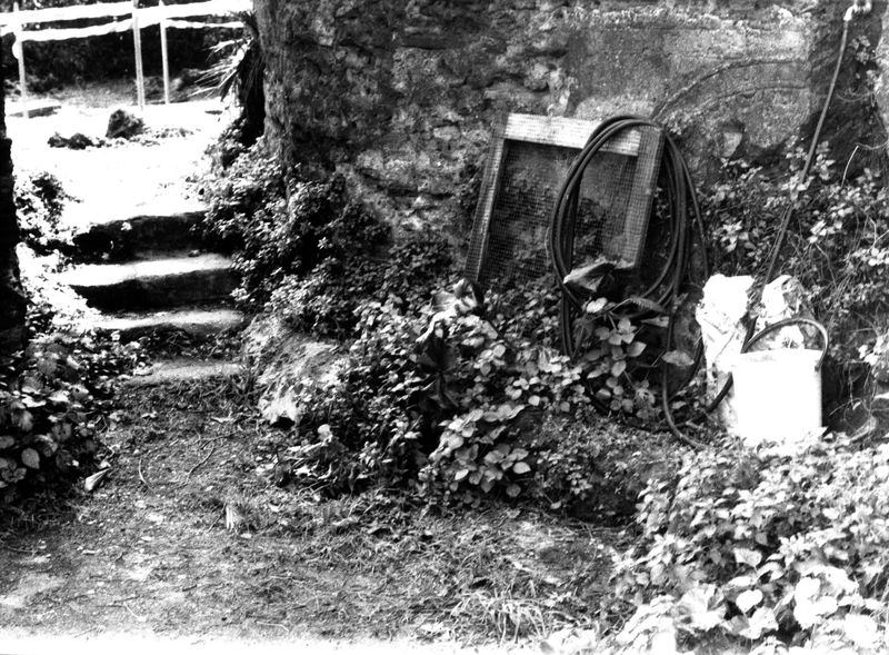 008600 - monumento - Palatino, via dei Cerchi n. 93, il giardino (marzo 1986); neg. serie film n. 1665