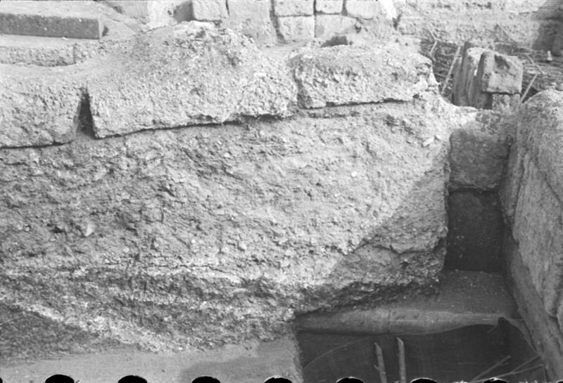 1-00002/ 07644/ 16772 - Roma - Palatino - Germalo
