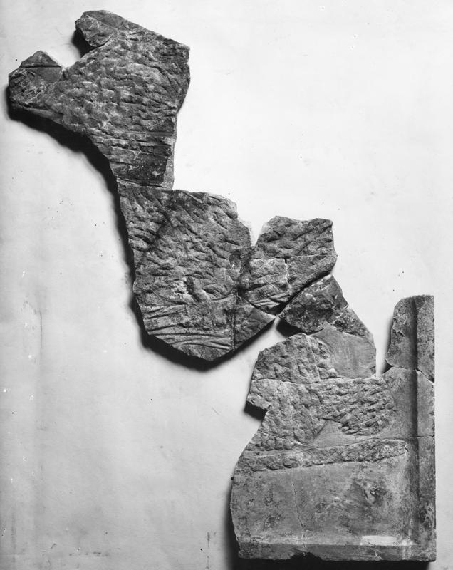 AP-SMA 029-asf000551.jpg