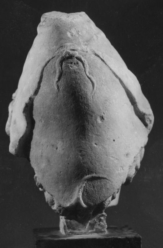 AP-SM  064-asf008142.jpg