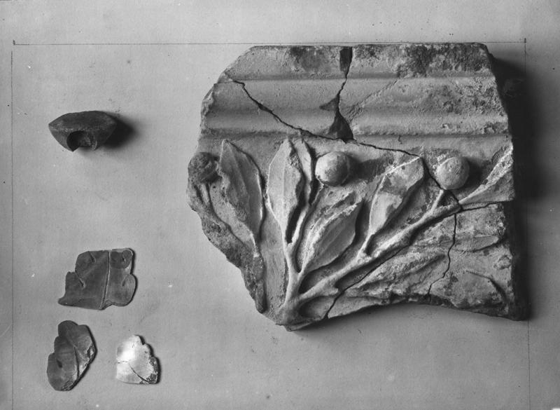 AP-AM 003-asf008228.jpg