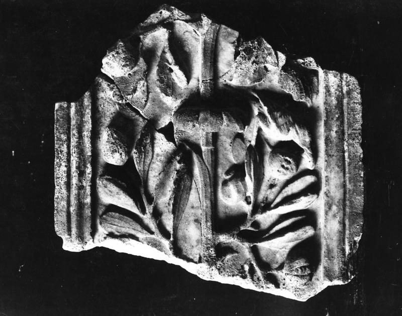 AP-AM 021-asf008255.jpg