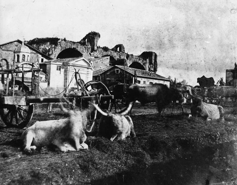 FR-VE 006-asf014458.jpg