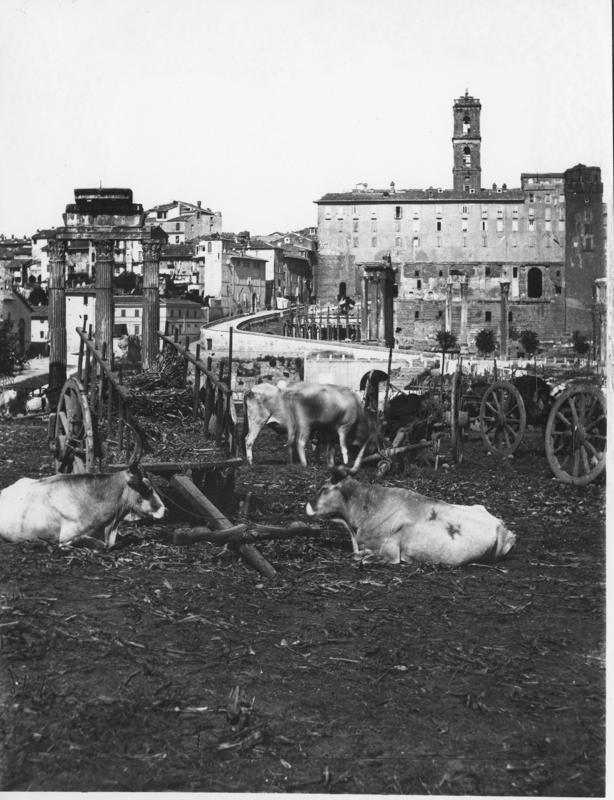 FR-VE 007-asf014460.jpg