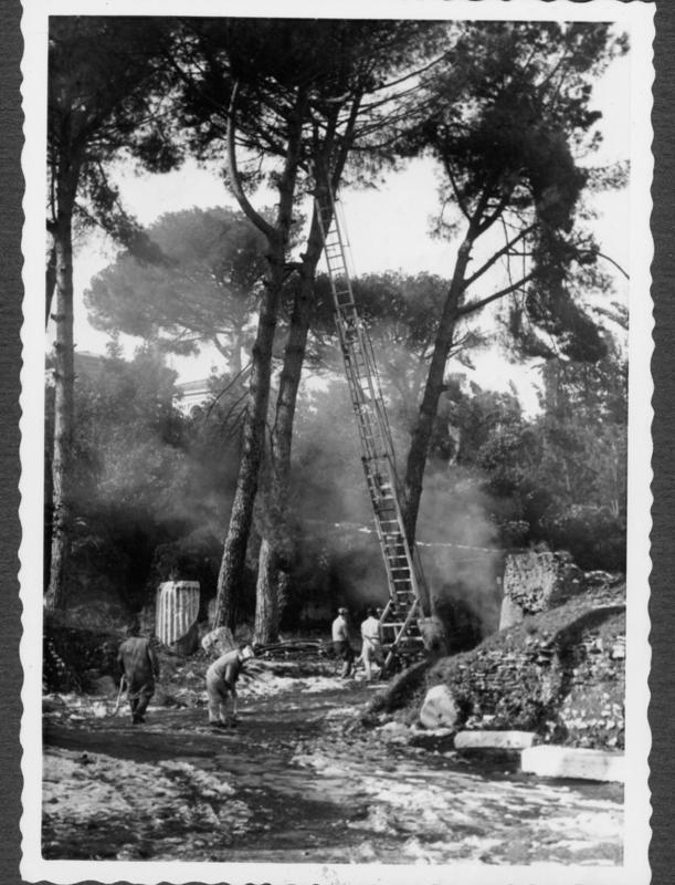 FR-VE 085-asf014554.jpg