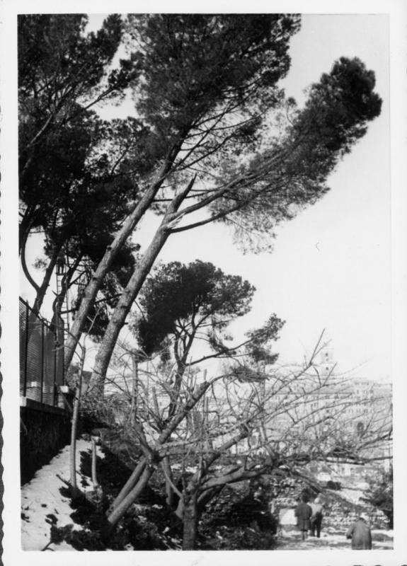 FR-VE 085-asf014555.jpg