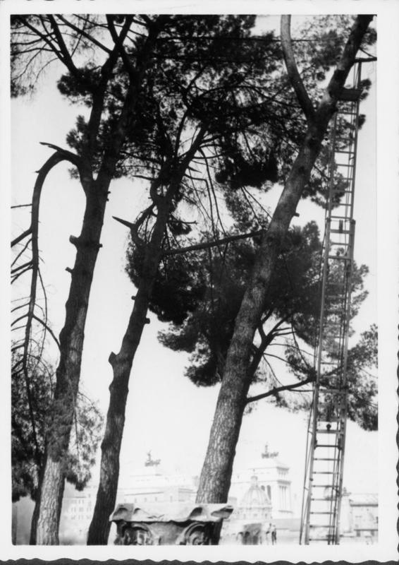 FR-VE 085-asf014556.jpg
