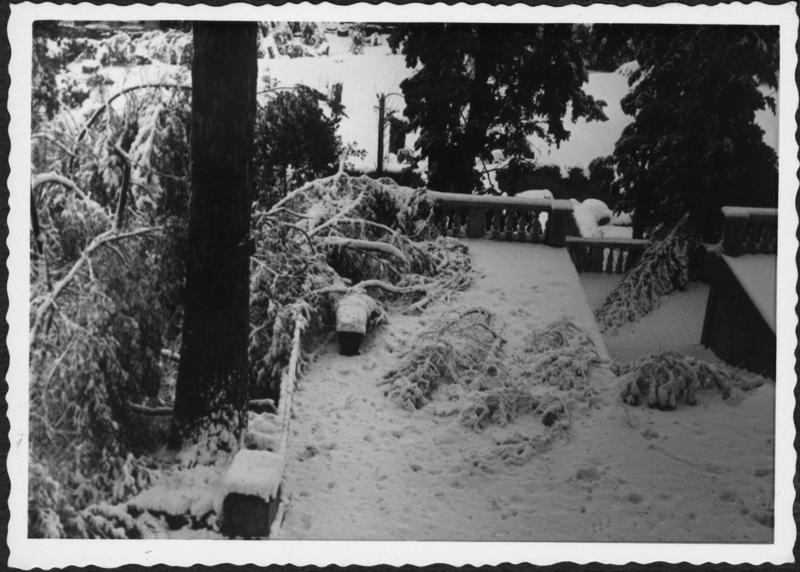 FR-VE 086-asf014557.jpg