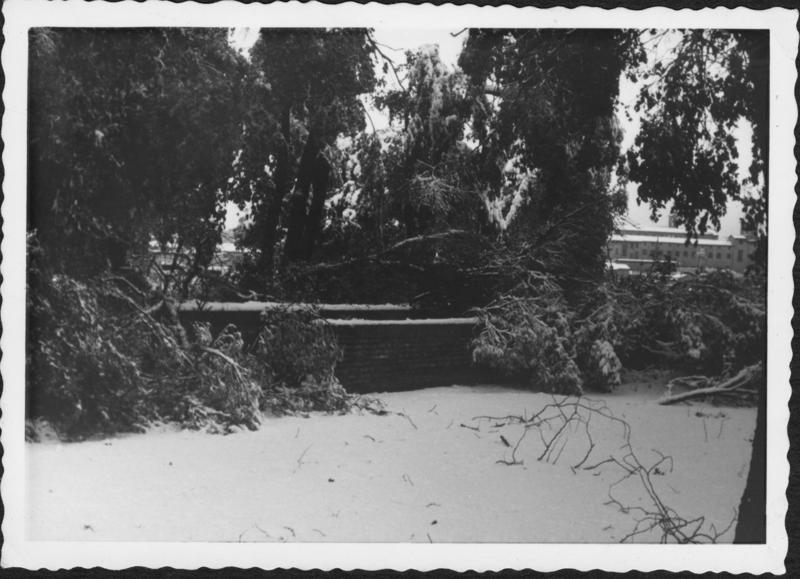FR-VE 086-asf014558.jpg