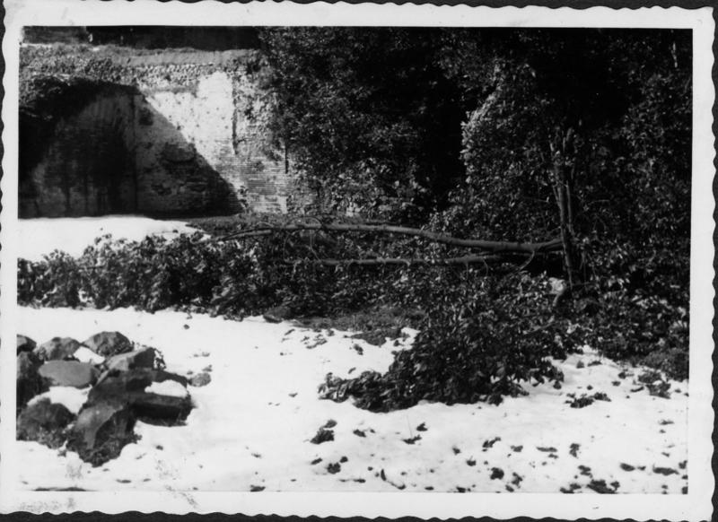 FR-VE 086-asf014560.jpg