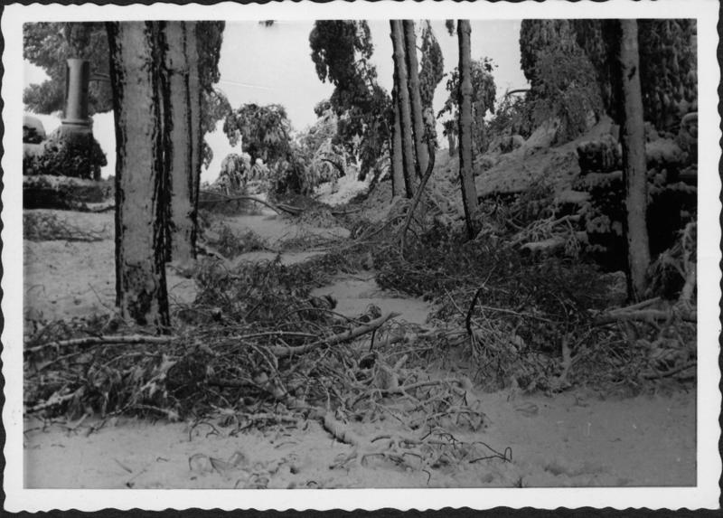 FR-VE 086-asf014561.jpg