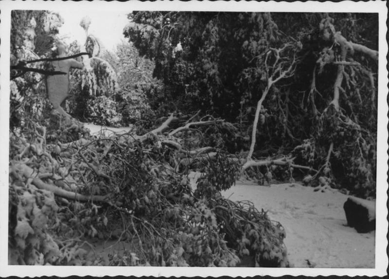 FR-VE 086-asf014562.jpg