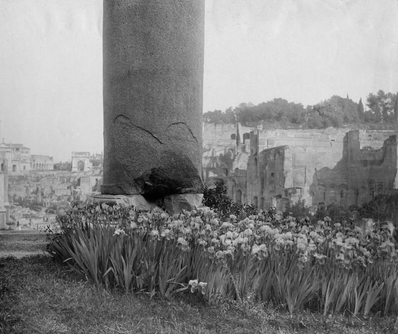 FR-Veg 001-asf014833.jpg