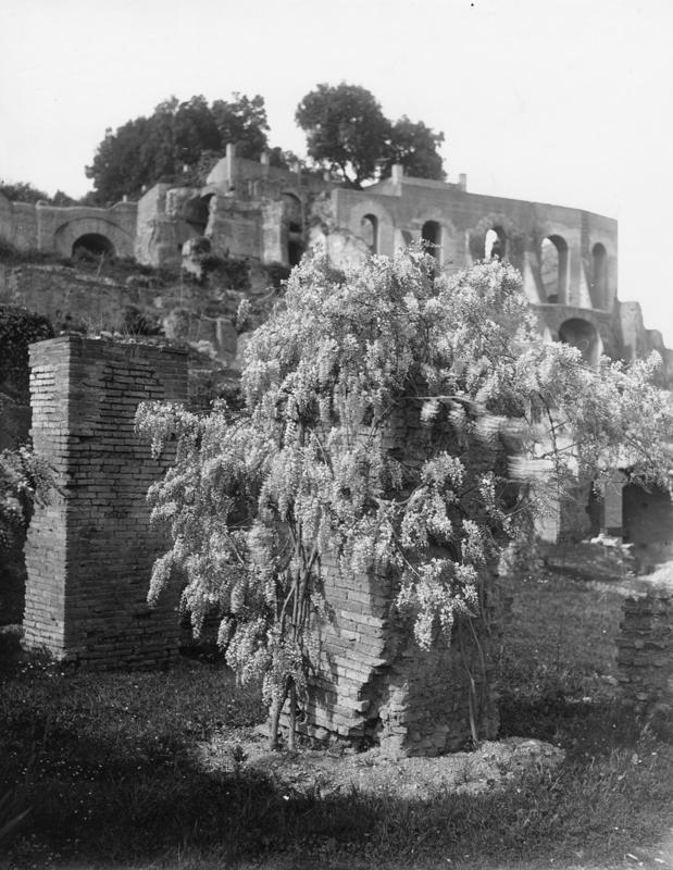 FR-Veg 002-asf014834.jpg