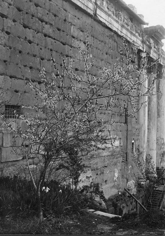 FR-Veg 004-asf014836.jpg
