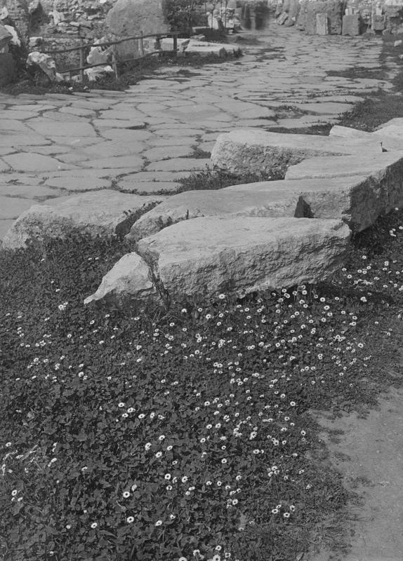 FR-Veg 006-asf014838.jpg