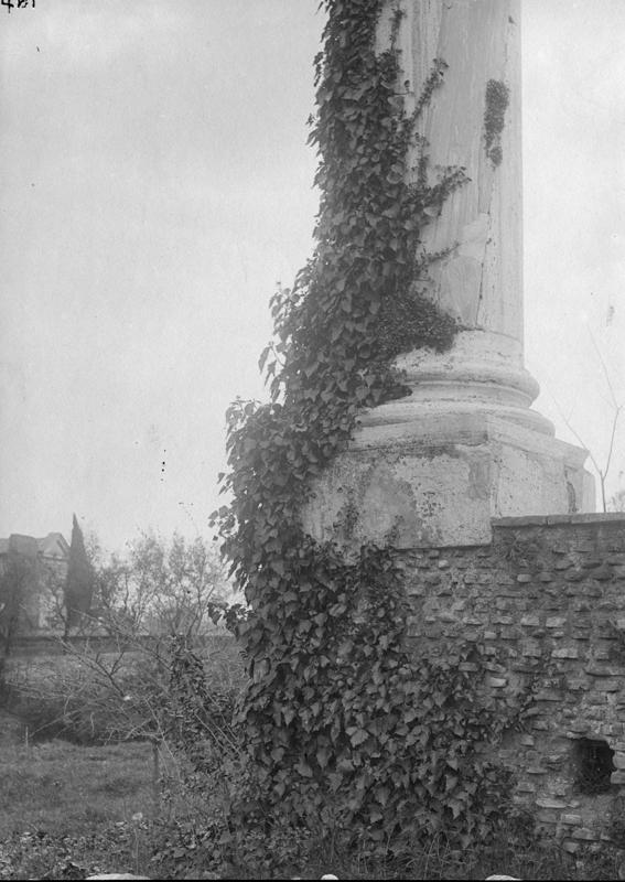 FR-Veg 007-asf014839.jpg