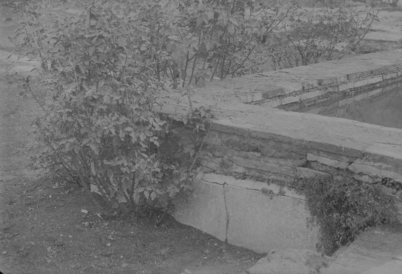 FR-Veg 010-asf014843.jpg