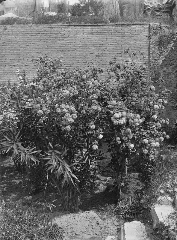 FR-Veg 011-asf014845.jpg