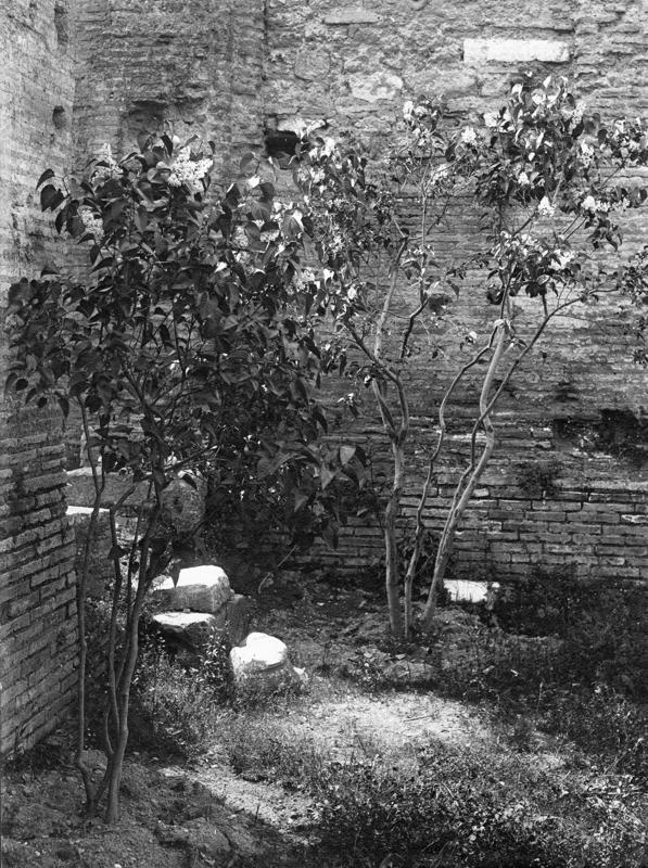 FR-Veg 012-asf014846.jpg