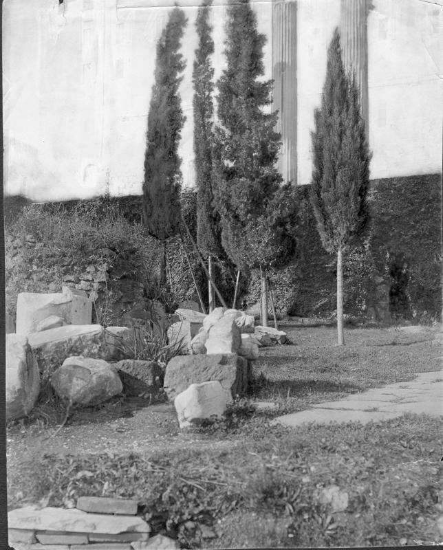 FR-Veg 017-asf014852.jpg