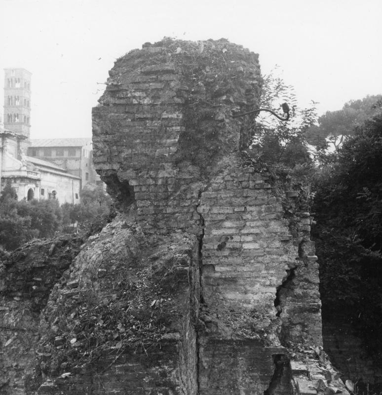 FR-Veg 018-asf014854.jpg