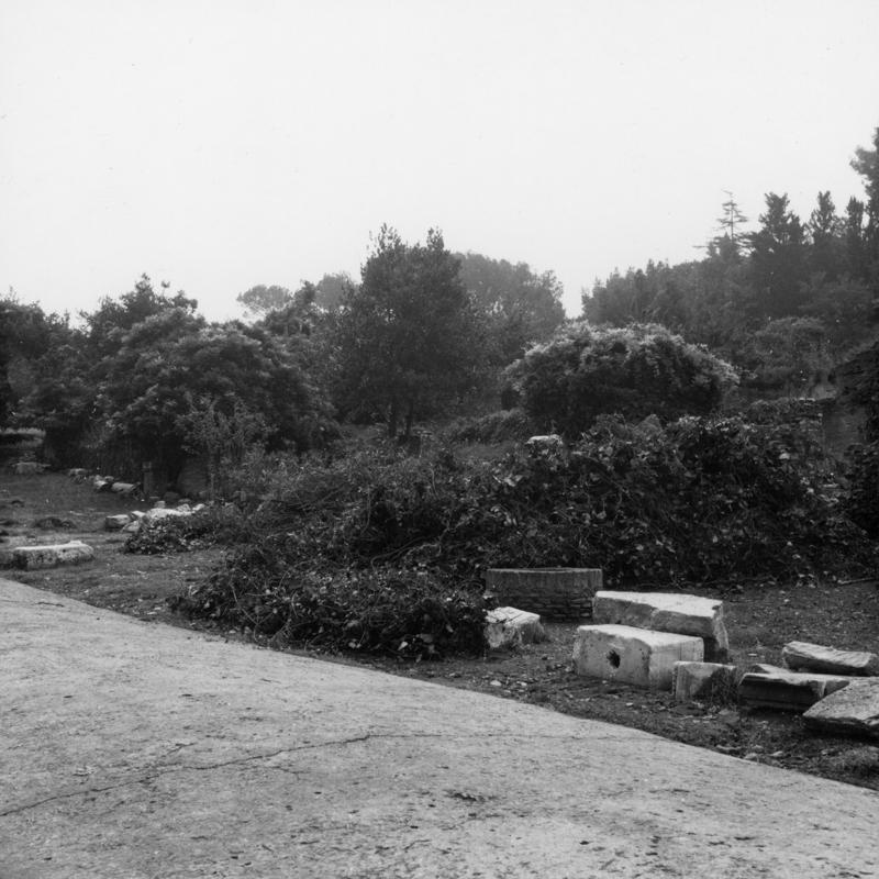 FR-Veg 019-asf014855.jpg