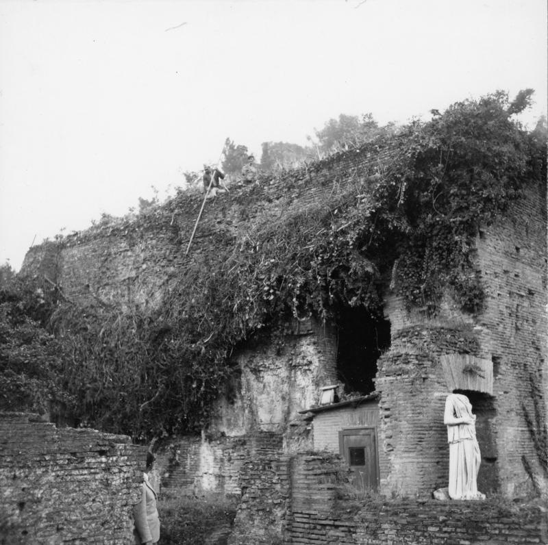 FR-Veg 019-asf014856.jpg