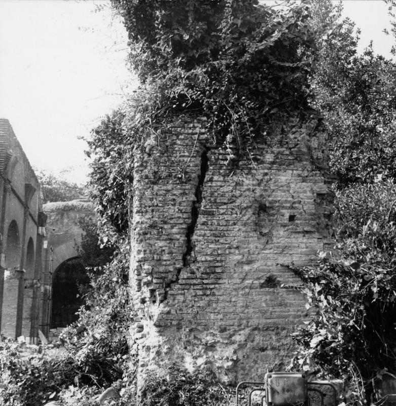 FR-Veg 023-asf014863.jpg