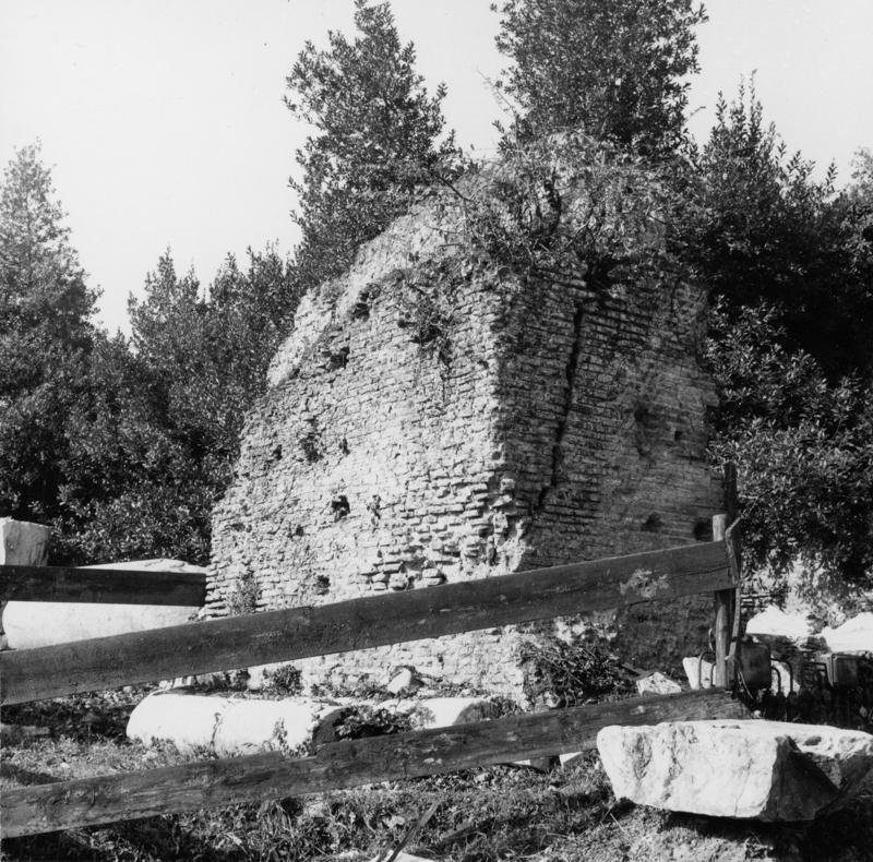 FR-Veg 023-asf014864.jpg