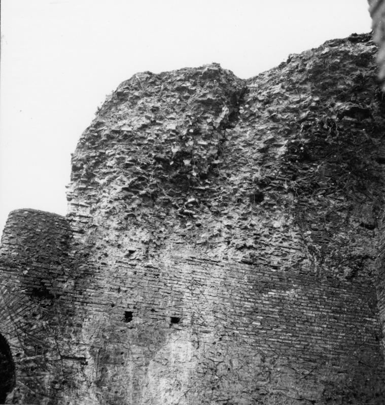 FR-Veg 025-asf014867.jpg