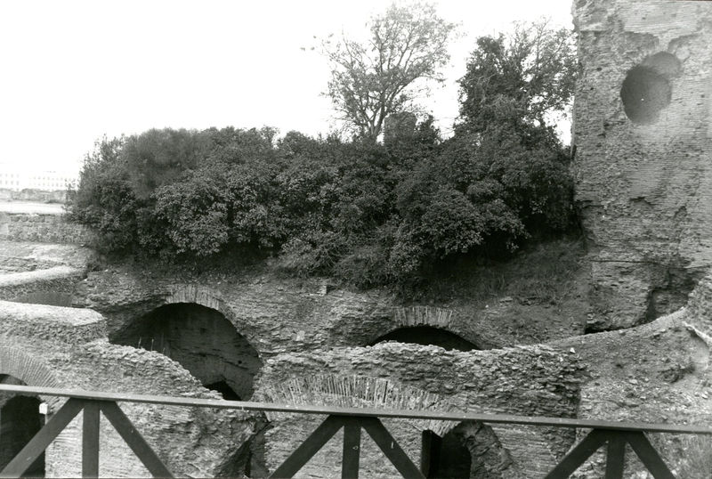 001532 - monumento - Zona delle terme prima dllo scavo
