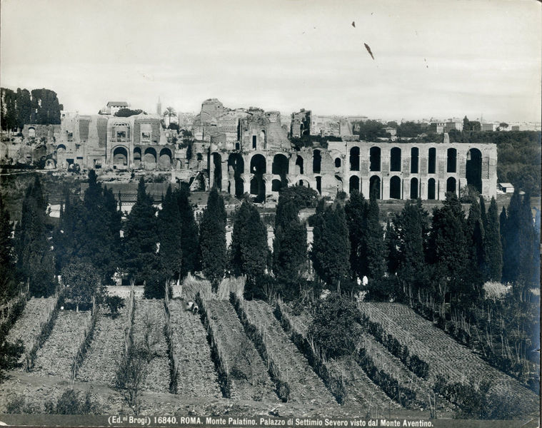 001552 - monumento - Palazzo di Settimio Severo visto dall'Aventino