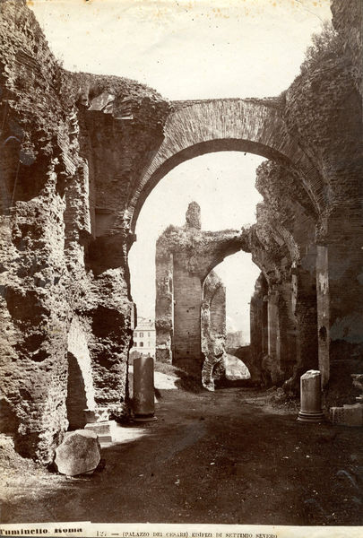001554 - monumento - Salone del palazzo di Settimio Severo