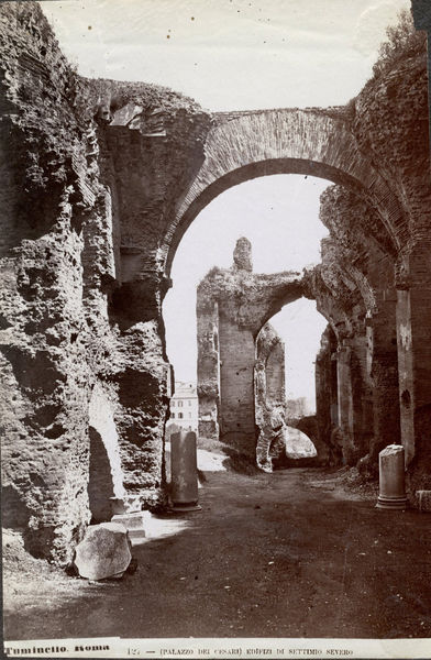 001555 - monumento - Salone del palazzo di Settimio Severo