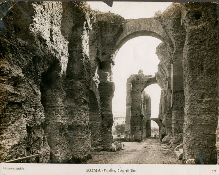 001556 - monumento - Salone del palazzo di Settimio Severo