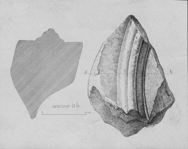 17 FR-CV-PD-asf012620.jpg