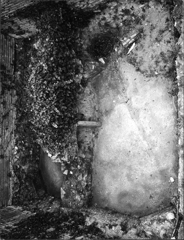 5 FR-DP-asf013658.jpg