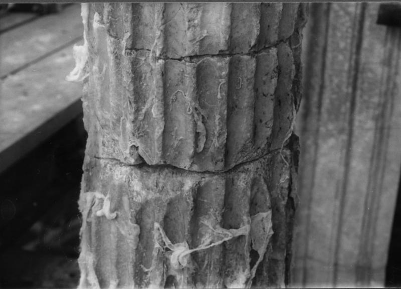 31 FR-FG-E-asf013890.jpg