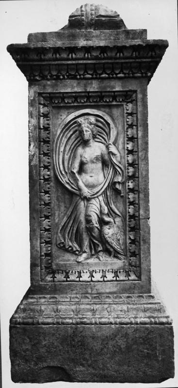 26 FR-FG-A-asf013941.jpg