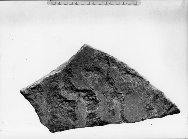 11 FR-FG-IM-asf014214.jpg