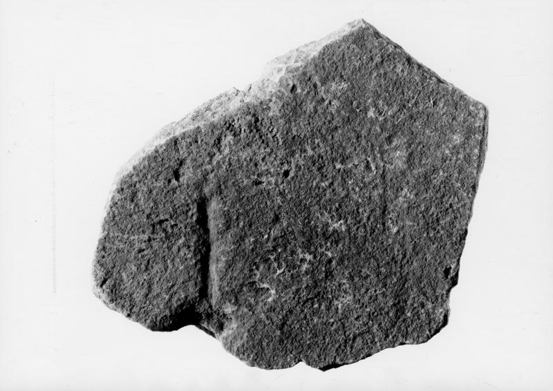14 FR-FG-IM-asf014220.jpg