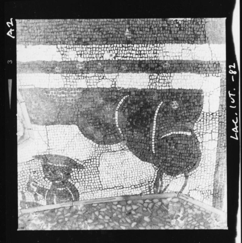 FR-FG-P003-asf014128.jpg