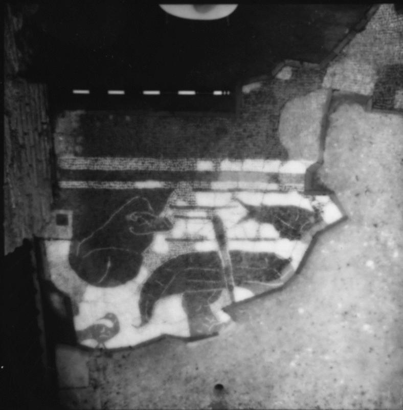 FR-FG-P004-asf014144.jpg