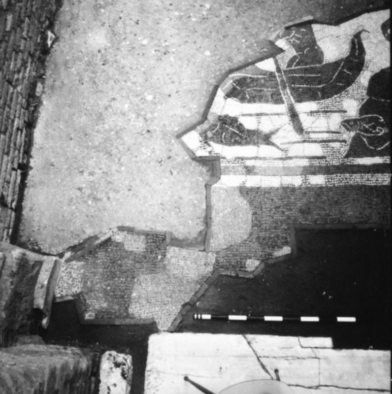 FR-FG-P004-asf014147.jpg
