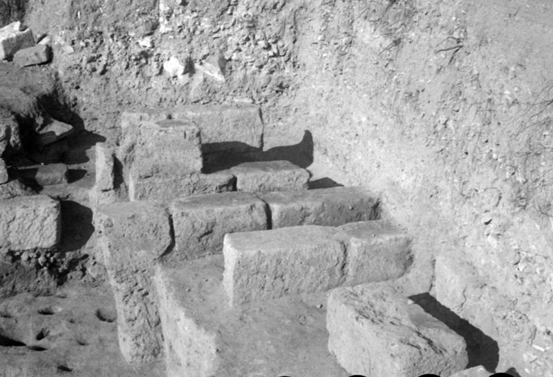 1-00003/ 07645/ 16773 - Roma - Palatino - Germalo